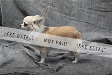 129608_le_ 01_0575.JPG