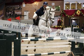 175934_avh_02_7293.JPG