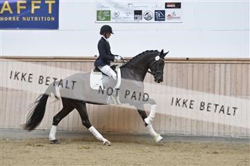 160111_nn_01__ESK1930.JPG