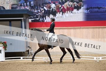 174186_kbb_01_R6II4618.JPG