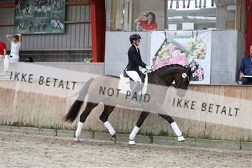 181867_mtp_02_R62_4756.JPG