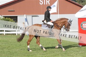 5925_ma_04_IMG_0517.JPG