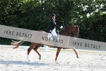 172073_mtp_01_3M5A4787.JPG