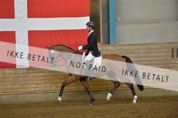 144288_abo_01__AB22631.JPG