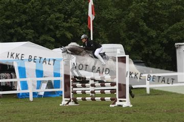 5925_ma_05_IMG_0584.JPG