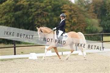 181894_mtp_04_R62_3372.JPG