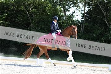 172073_mtp_01_3M5A4694.JPG