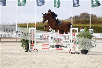 181922_avh_01_1218.JPG