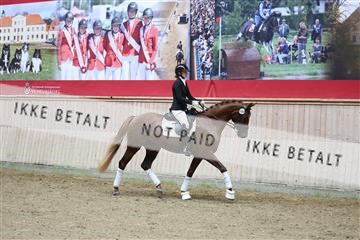 181887_mtp_04_R62_8634.JPG