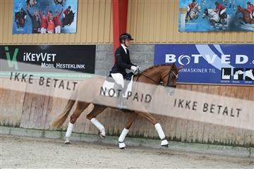 181867_mtp_02_R62_4364.JPG