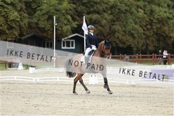 181923_mtp_03_R62_7271.JPG