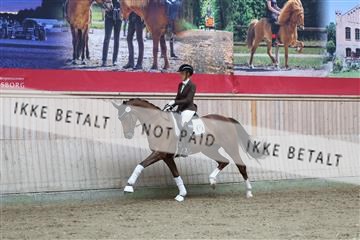 181887_mtp_01_R62_7131.JPG