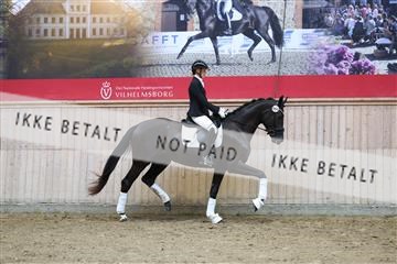 181887_mtp_04_R62_9184.JPG