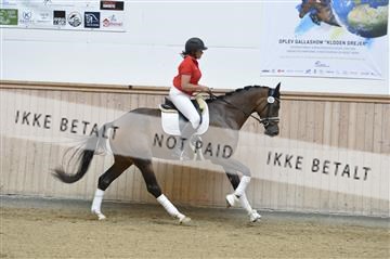 160111_nn_01__ESK1782.JPG