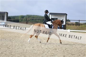 181894_mtp_04_R62_3860.JPG