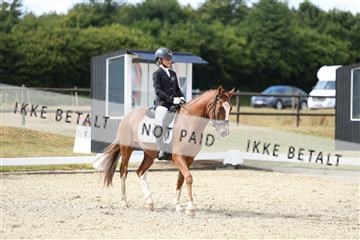 181894_mtp_05_R62_4465.JPG