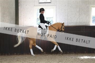 179104_avh_02_3464.JPG
