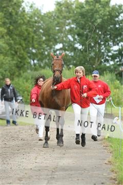 135518_ms_01_IMG_0311.JPG