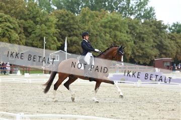 181923_mtp_03_R62_7898.JPG