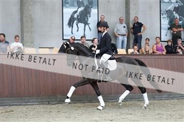 181852_mtp_03_R62_2421.JPG