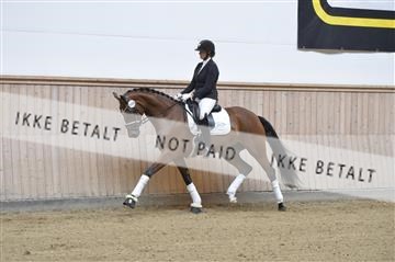 160111_nn_01__ESK1792.JPG