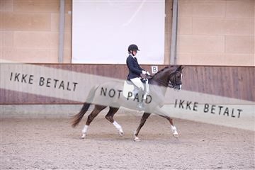 173821_mtp_01_3M5A9188.JPG