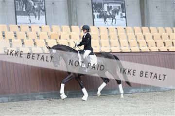 181852_mtp_03_R62_2489.JPG