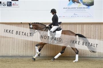 160111_nn_01__ESK1831.JPG