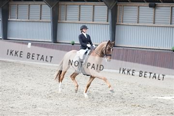 171210_mtp_01_3M5A6206.JPG