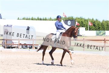 181449_bc_01R62_5629.JPG