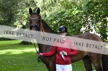 _Z090237.JPG