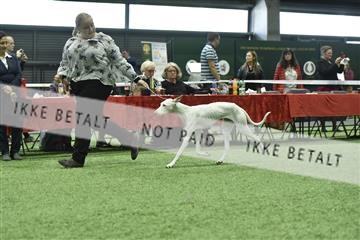 163793_bkn_01__BKN9214.JPG