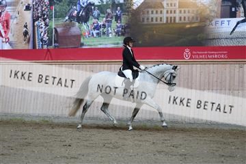 181887_mtp_02_R62_7446.JPG