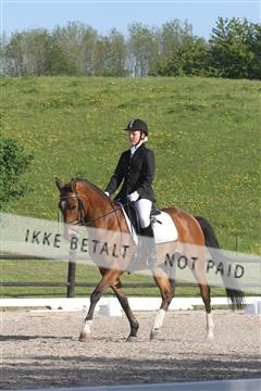 135086_sg_01_IMG_1777.JPG