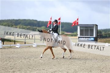 181894_mtp_04_R62_3847.JPG