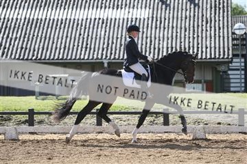 147698_nn_01_IMG_0202.JPG