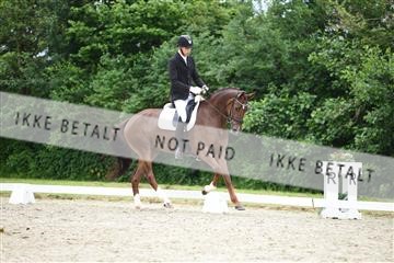 162958_mep_01_DSC_6634.JPG