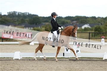 181894_mtp_03_R62_2973.JPG