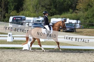 181894_mtp_05_R62_5034.JPG