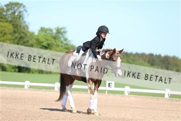 174638_mtp_01_3M5A3092.JPG