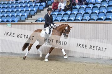 160111_nn_01__ESK1739.JPG