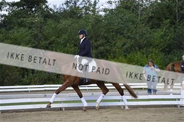 136195_abo_01__AB15537.JPG