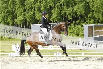 172028_rhj_01_J7R7779.JPG