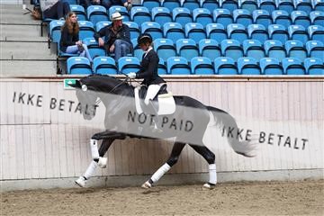 175166_kbb_01_R6II0266.JPG