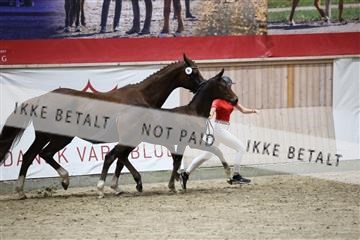 181957_mtp_08_R62_5579.JPG
