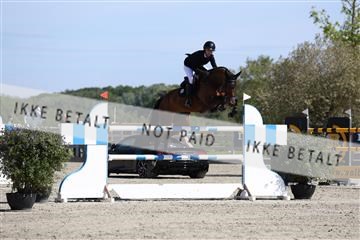 181436_avh_02_3786.JPG