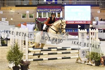 161006_abo_01__D052256.JPG