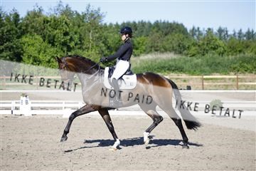 181449_kbb_01_6II8997.JPG