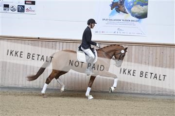 160111_nn_01__ESK1743.JPG