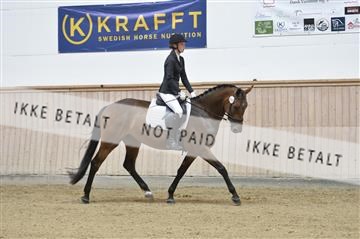 160111_nn_01__ESK1945.JPG